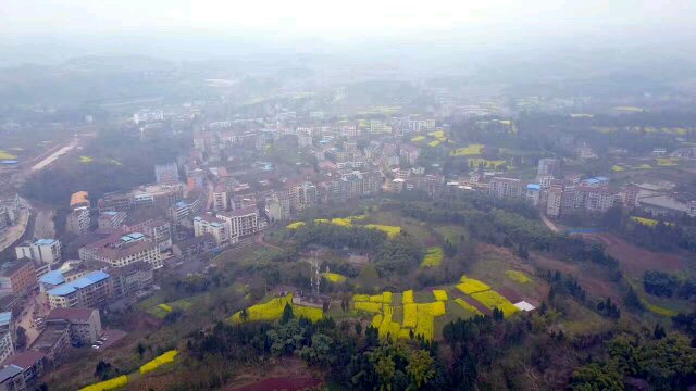 市">资阳市 /a> a target="_blank" href="/item/安岳县">安岳县 /a>