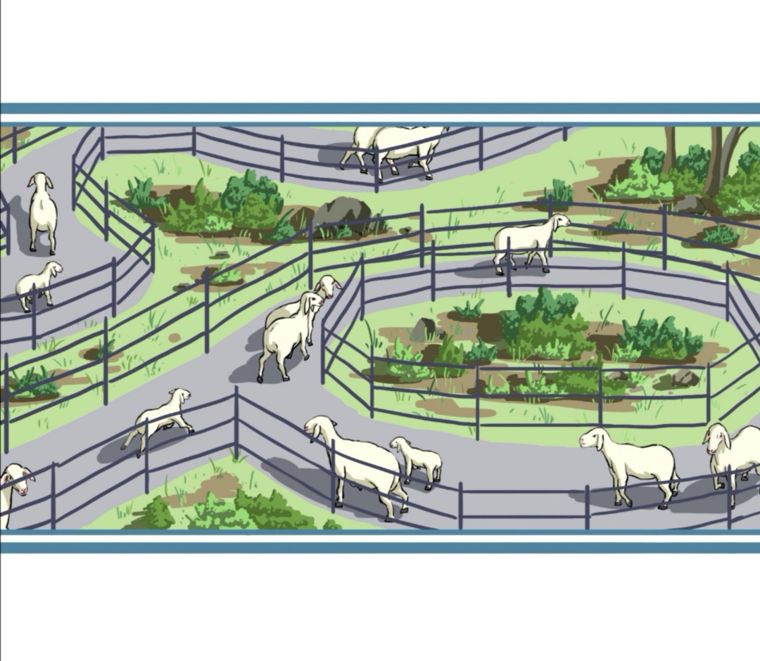 澳寒羊业有限公司