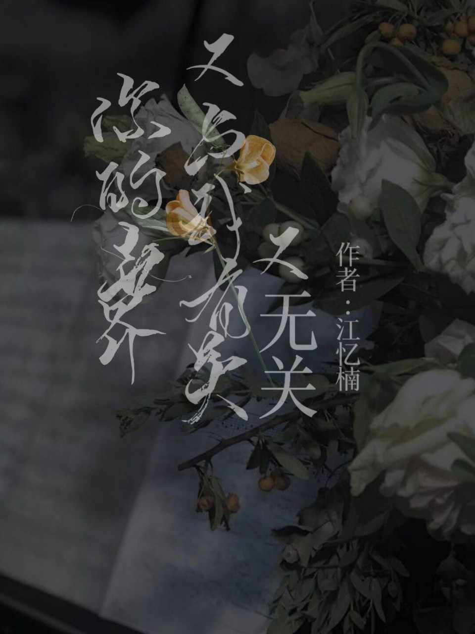 你的世界与有关又与我无关