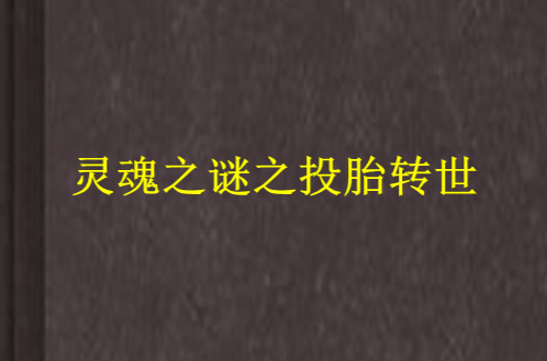 灵魂之谜之投胎转世