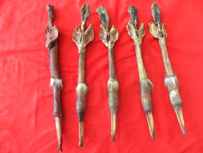 青岛宇涛土特产有限公司