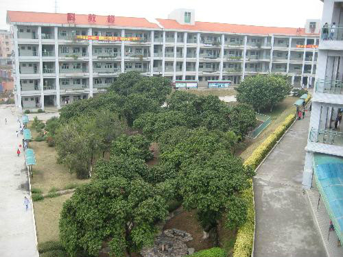 东莞市东城朝晖学校