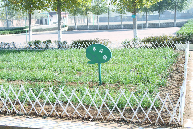 费县费城街道办事处城北中学