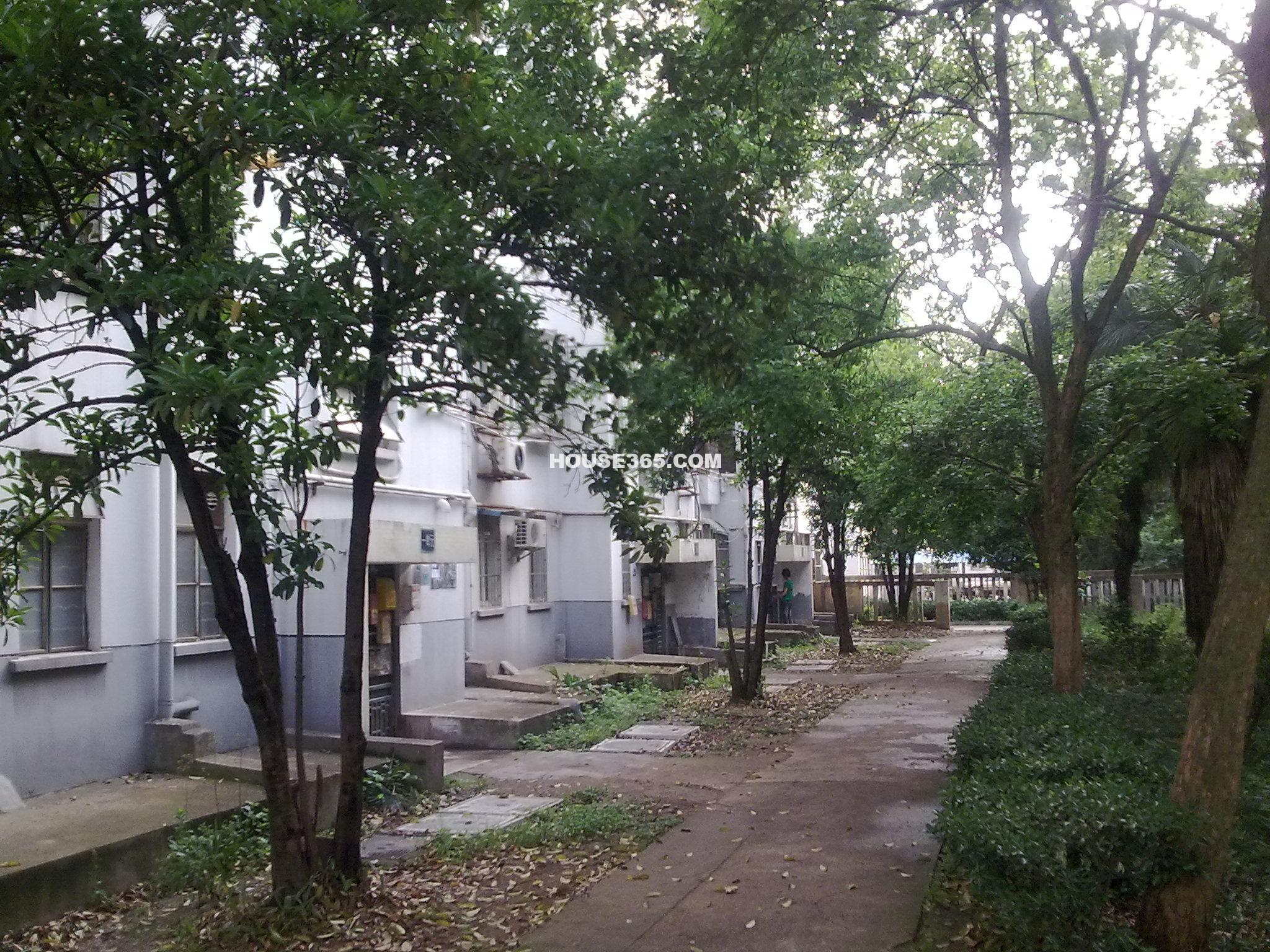  p data-id="gnvgyr7z8f">锁金村地处南京市主城区东北部,西临玄武湖