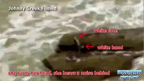 美人鱼