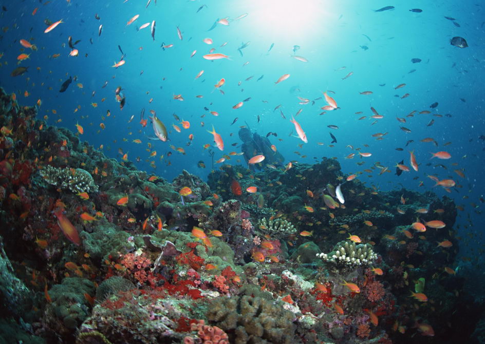 澳大利亚大堡礁