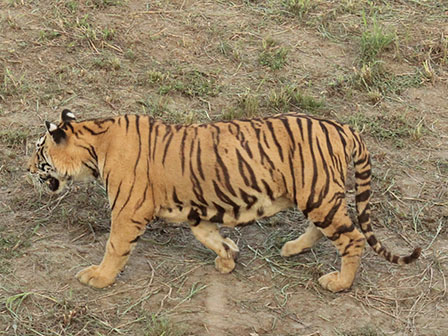 宿迁运河湾森林动物园