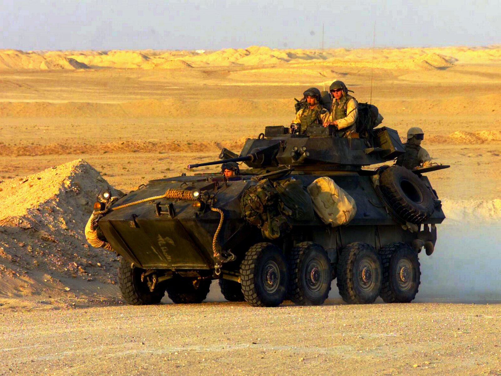 25 /b> ),是1980年, a target="_blank" href="/item/美国/125486"