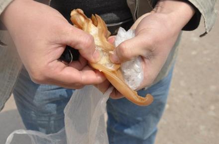 ���z�������c�������i����