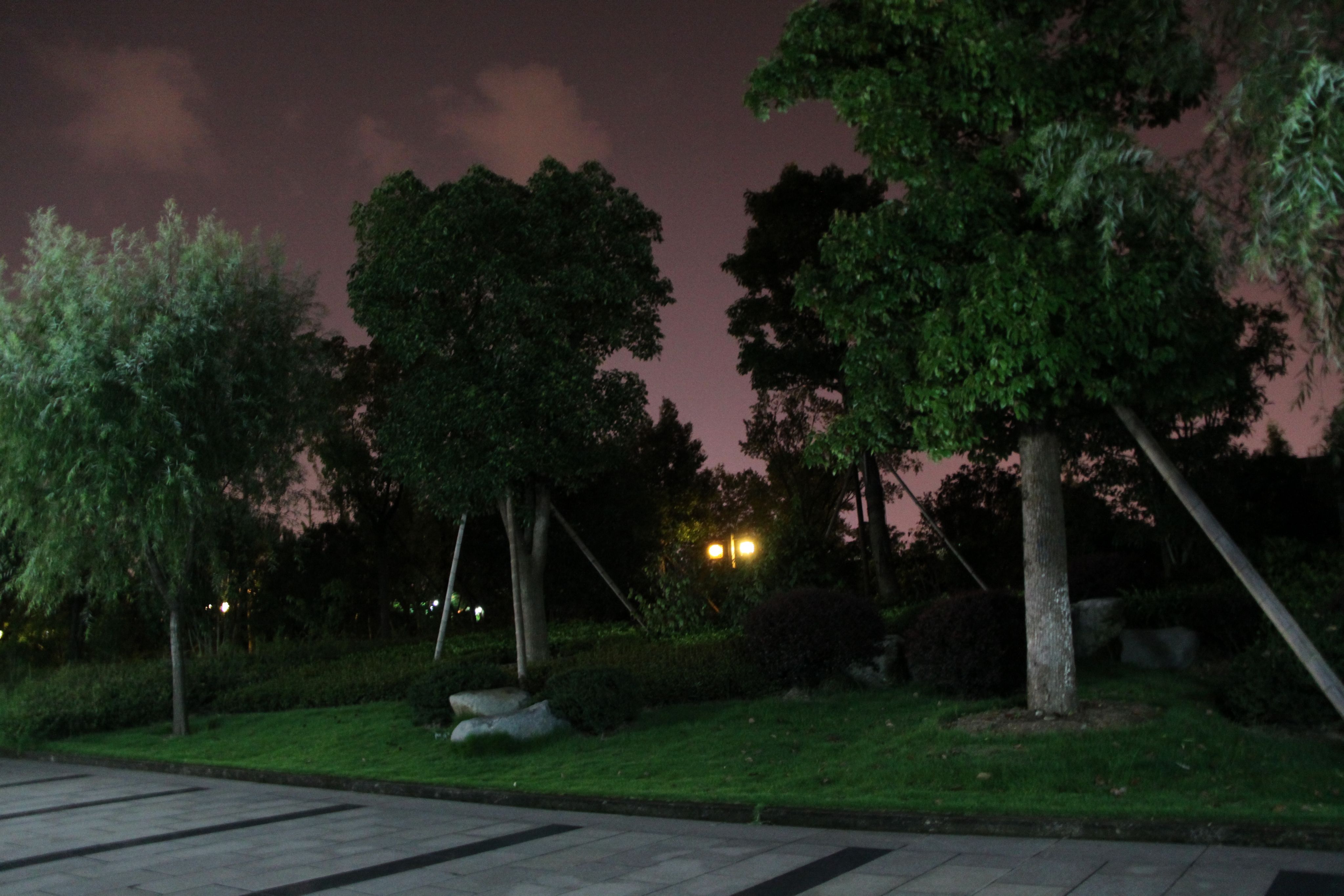  p>丽水江滨公园( a href="#" data-lemmaid="2357371">防洪堤 /a>)