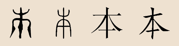  p data-id="gnbbrznx98">本姓,中国姓氏,古代姓,氏有别,同一始祖母生