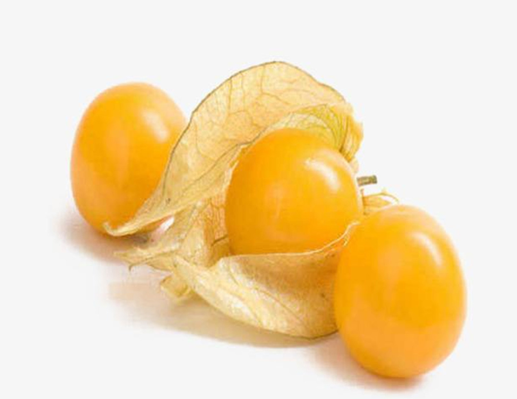 哥伦比亚龙珠果