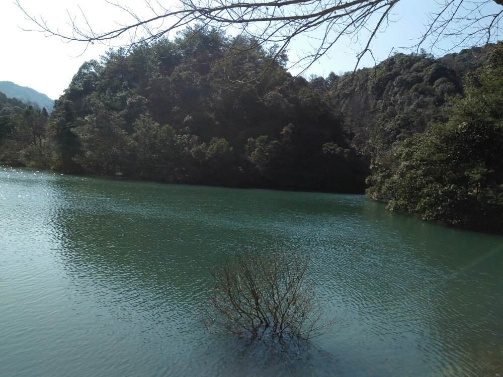 小格里