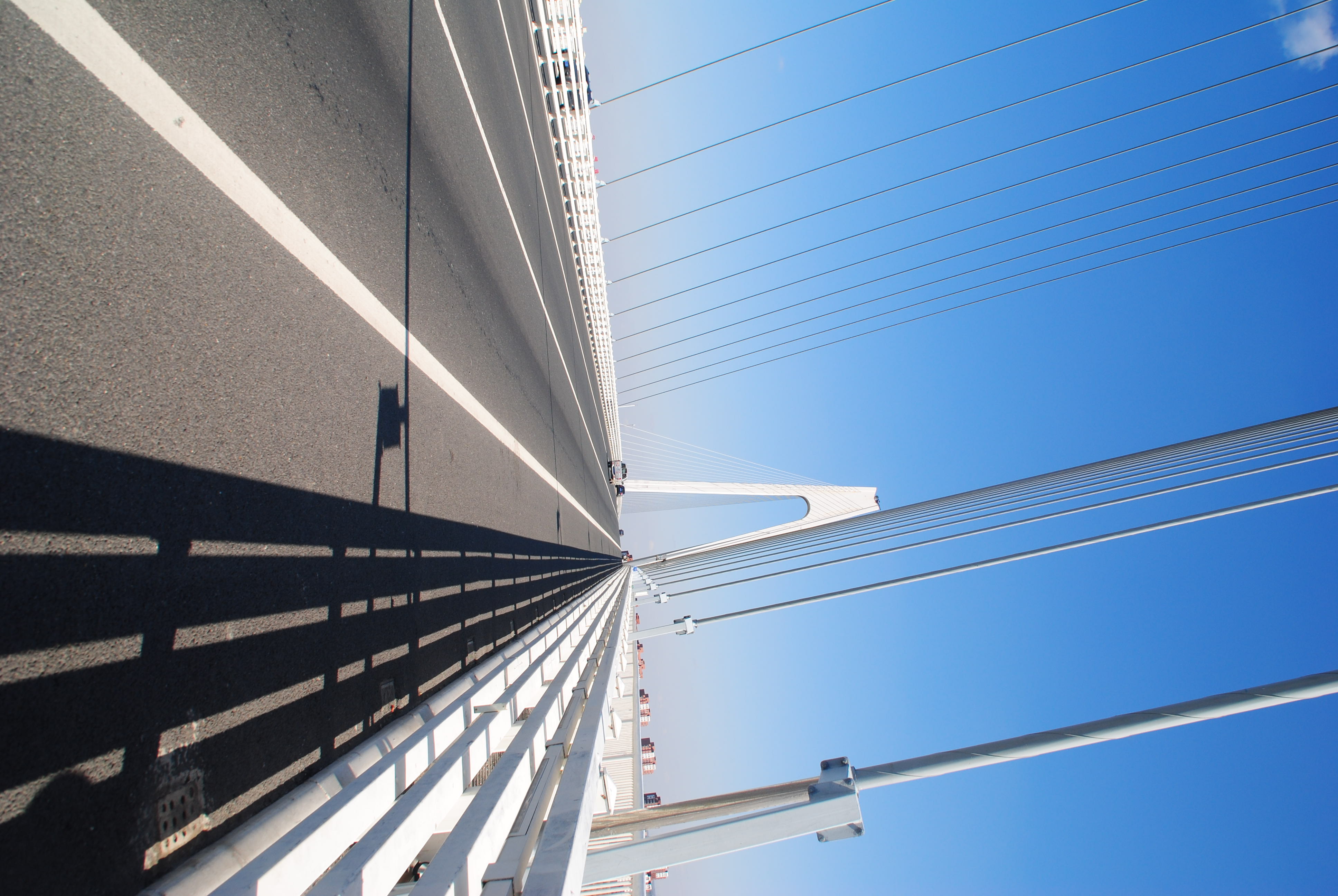 辽宁滨海公路辽河大桥