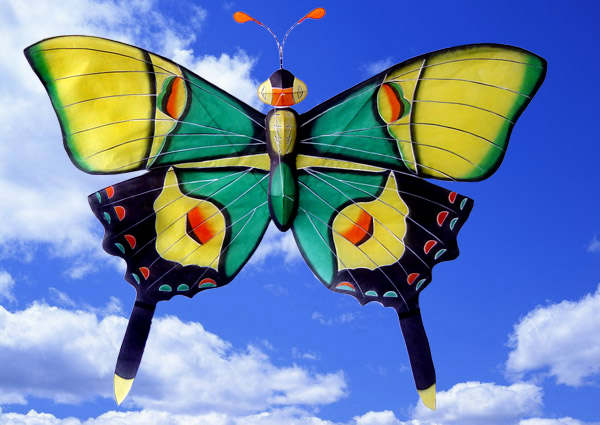 第一届潍坊风筝会