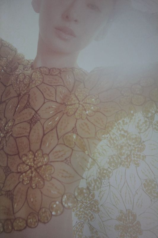 松雪泰子,1972年11月28日出生于日本佐贺县