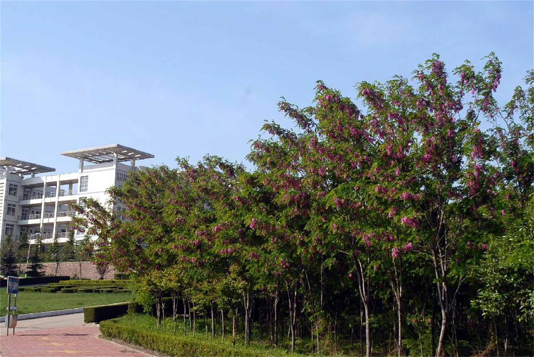 河南城建学院