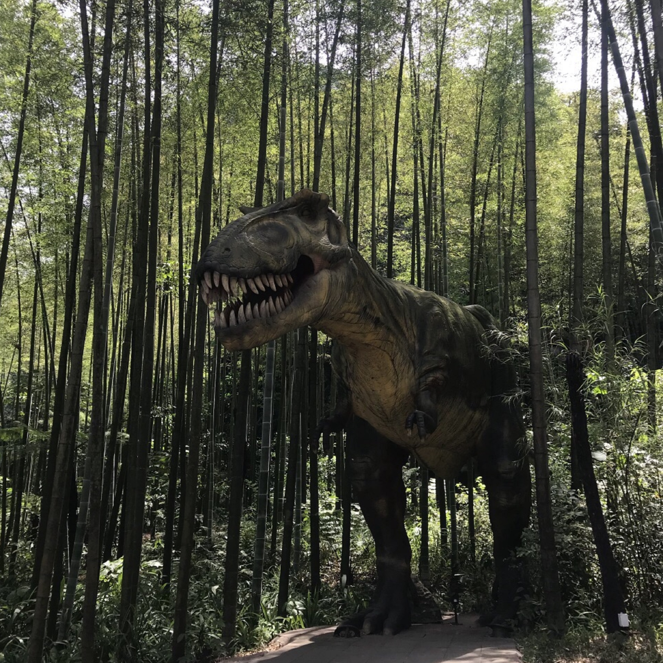  p>中国侏罗纪公园位于贵州省 a href="#">赤水 /a>市 a href="#"