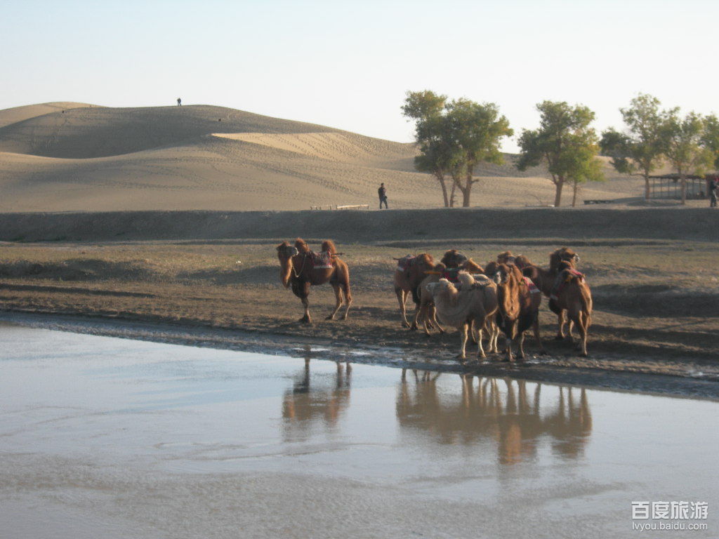  p>"轮台"维吾尔语"雕鹰"之意.