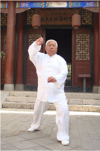 翟维传武式太极拳