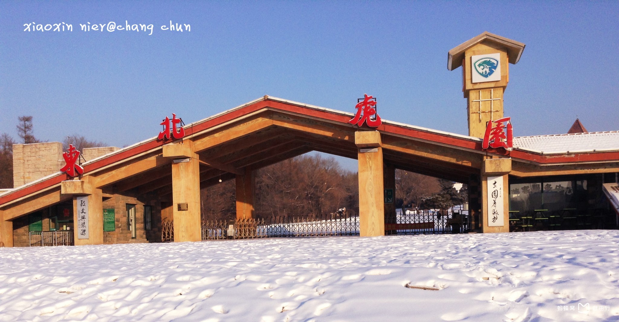  p>吉林省东北虎园座落于长春至双阳公路4.