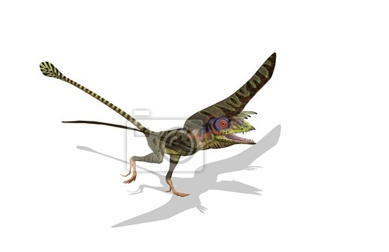 是种史前 a href="#">爬行动物 /a>,属于 a href="#">翼龙 /a>目