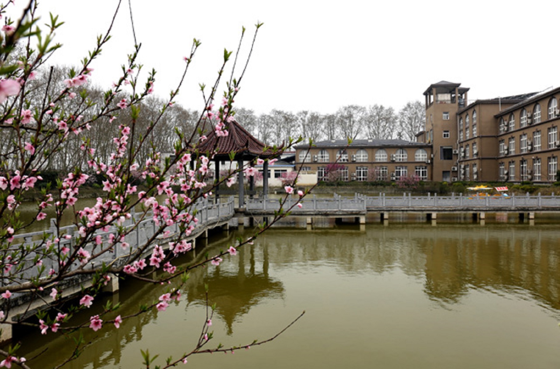  p>蚌埠经济技术职业学院(bengbu institute of business and