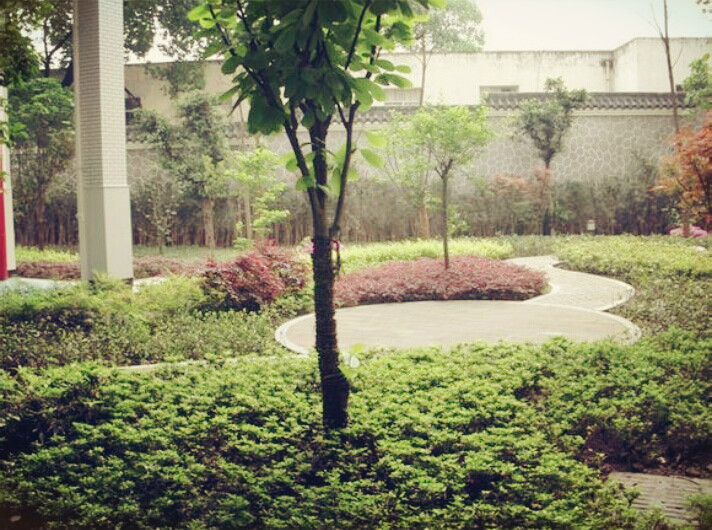 重庆市沙坪坝新桥小学