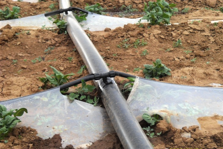  p>滴灌(drip irrigation)是利用 a href="#" data-lemmaid="5683728"