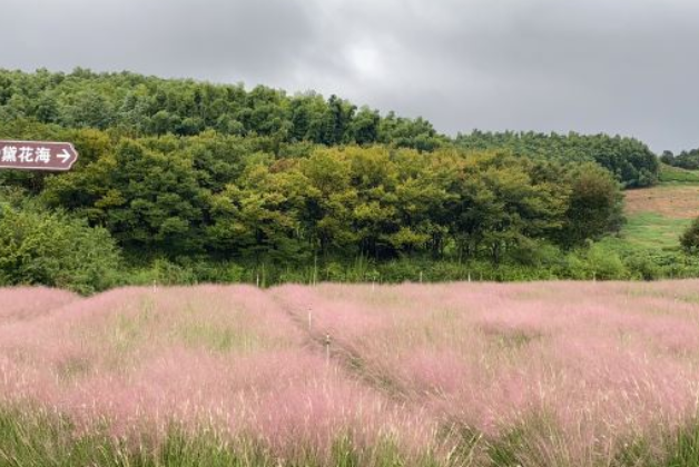  p>龙潭花谷位于常州溧阳市戴埠镇高桥村村委陈家村68号. /p>