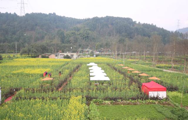  p>王场镇,隶属于湖北省潜江市,地处 a target="_blank" href="/item