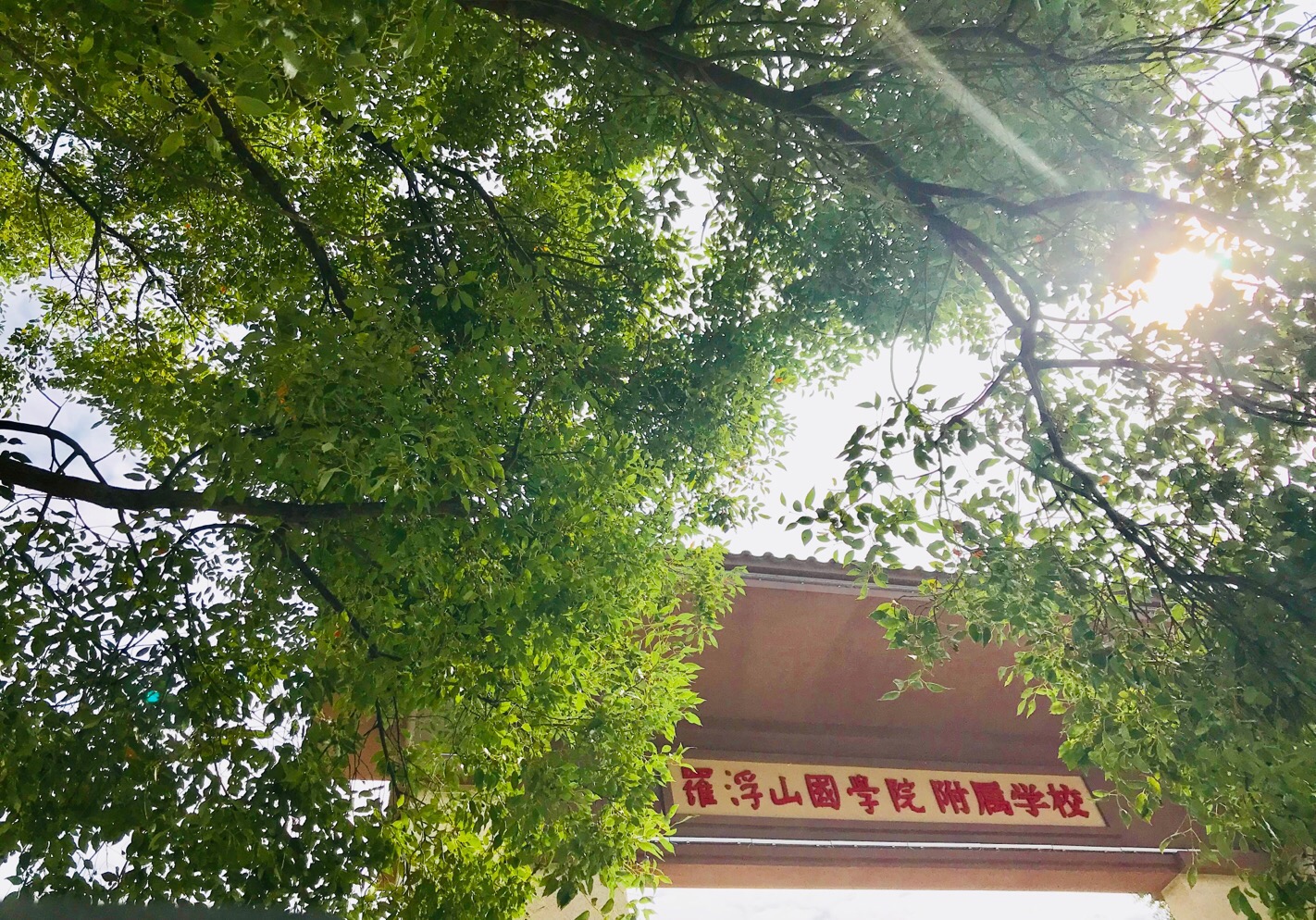 罗浮山国学院附属学校