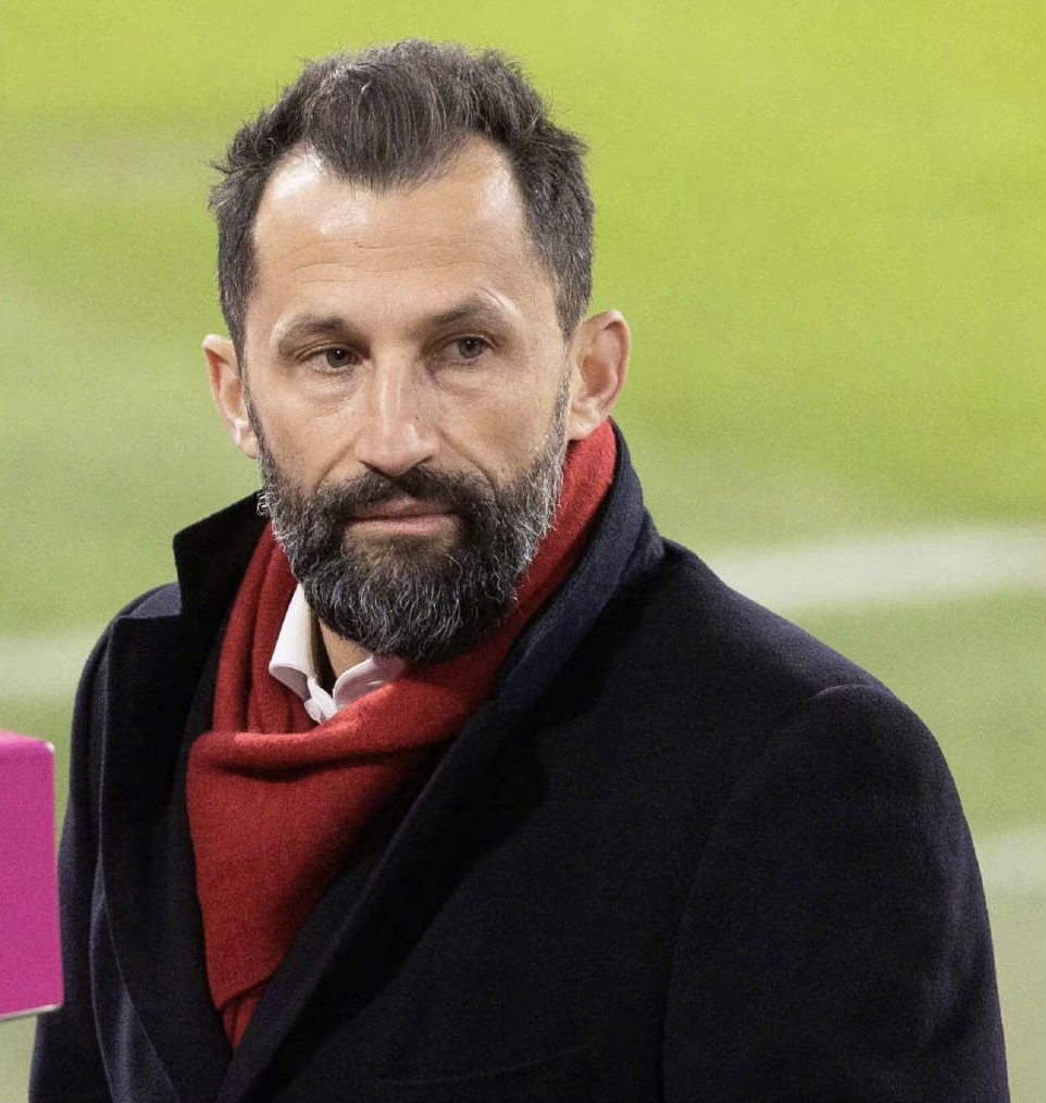 哈桑·萨利哈米季奇