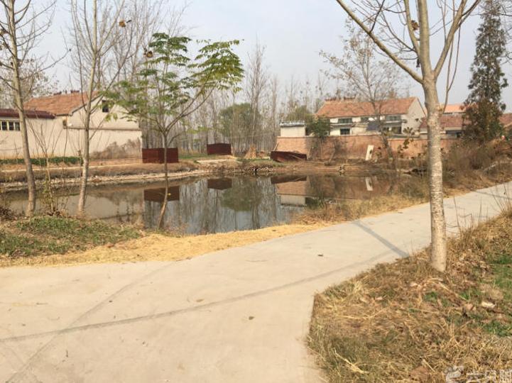  p data-id="2enh6zqwmky">许楼村是山东省菏泽市巨野县柳林镇下辖的