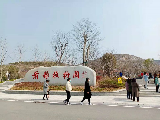 萧县植物园