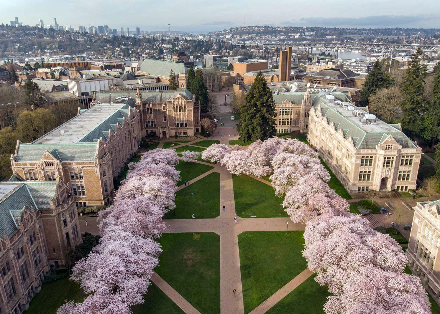 华盛顿樱花园(washington cherry garden):每年春天来临时,美国首都<a