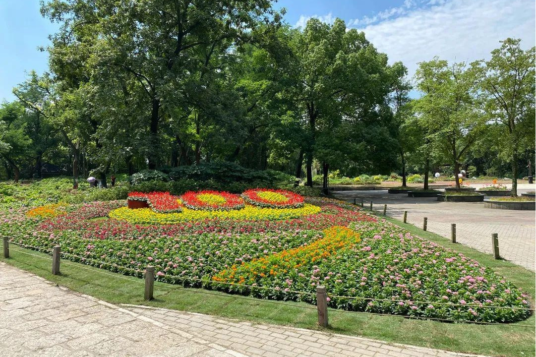  p data-id="gn6zrx7acv">市政局百周年纪念花园是香港的一个公园