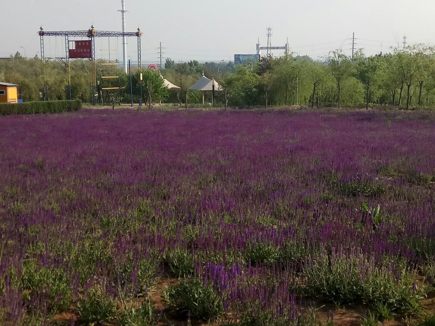 营口市/309530" data-lemmaid="309530">营口市 /a>鲅鱼圈区下辖街道