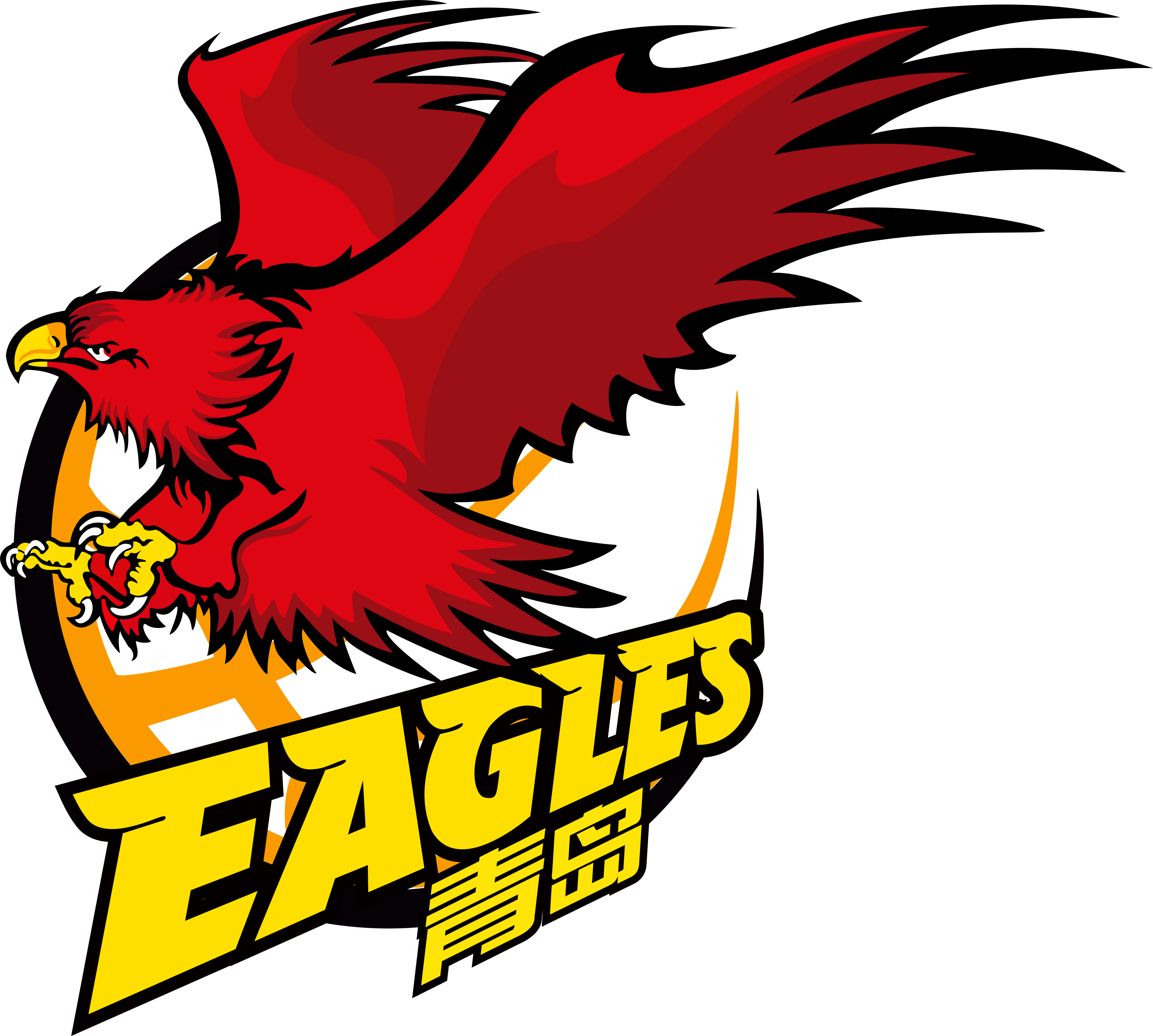 青岛双星队青岛双星雄鹰男子篮球队