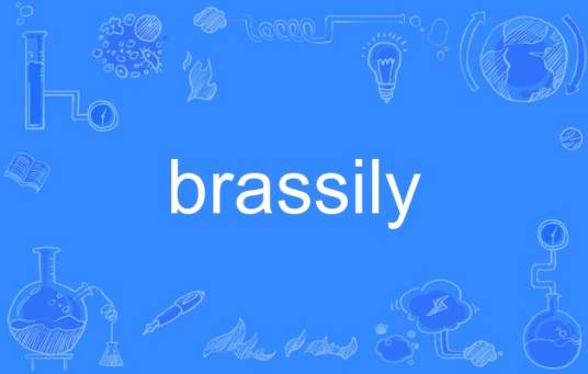 brassily_百度百科