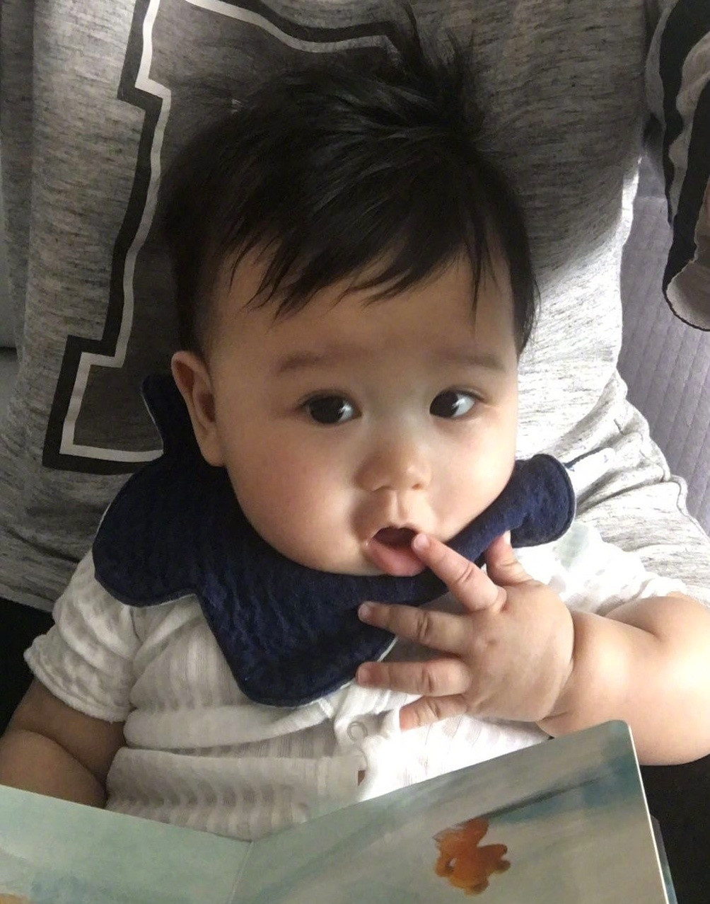 胡杏儿儿子Brendan长开了，白白胖胖萌态十足，妥妥的大胖小子_百科TA说