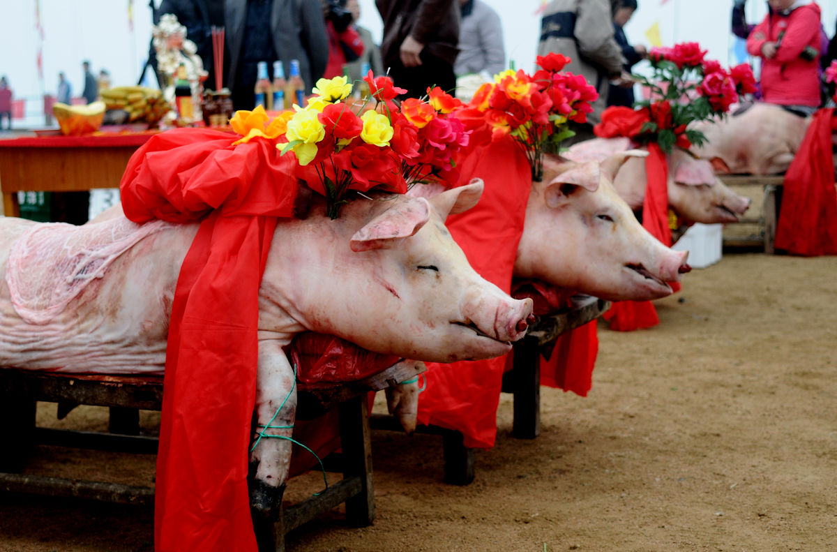  p>祭祀,是中国的一种信仰活动,源于天地和谐共生的信仰理念.