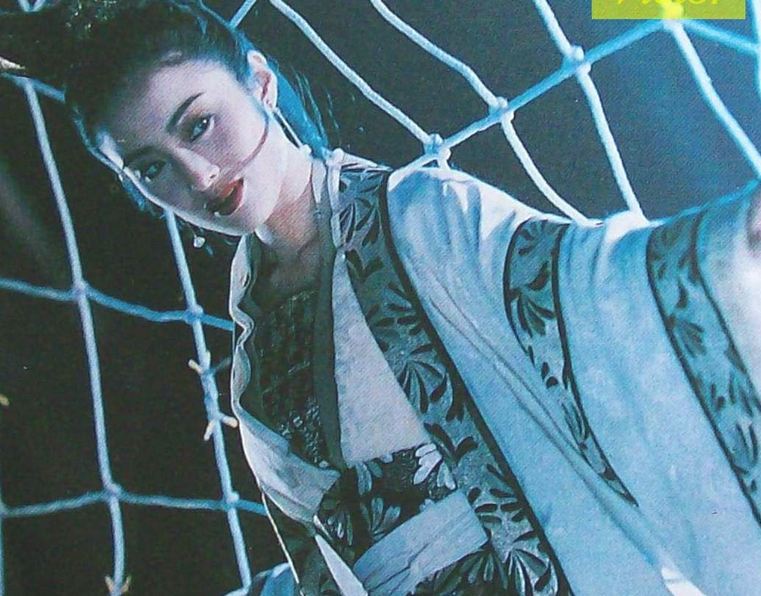 武侠七公主wuxiaqigongzhu(1993)