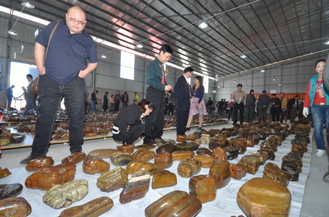柳州奇石公盘交易会