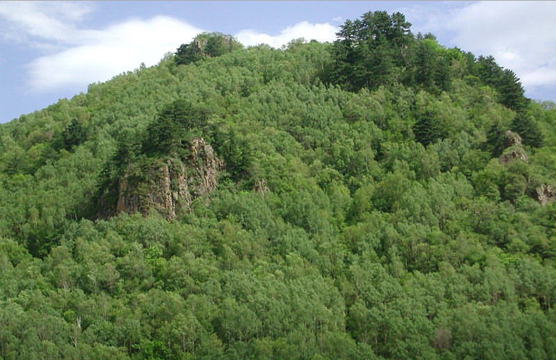  p>牙梳山,山名,坐落在福建省 a target="_blank" href="/item/宁化县