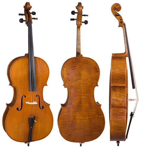 大提琴(violoncello)