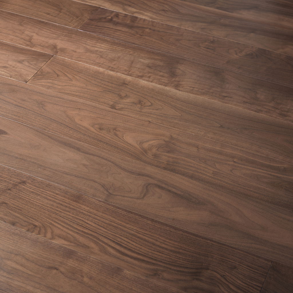  p>黑胡桃( i>juglans nigra /i>.