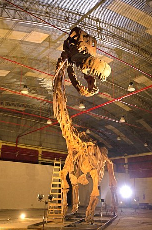  p data-id="go1791294i">泰坦巨龙(属名: i>titanosaurus /i>)又名