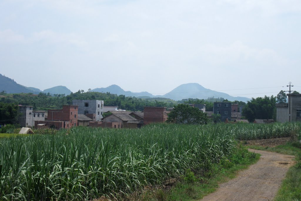 回龙村