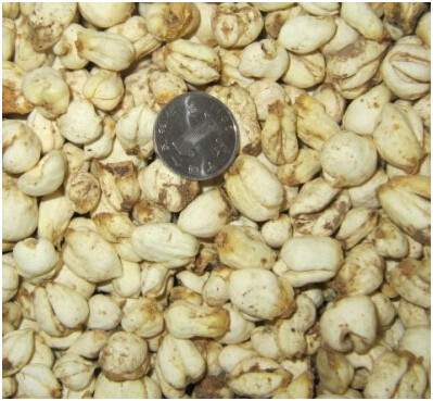 data-id="gnbkakd33m">伊贝母, a target="_blank" href="/item/中药